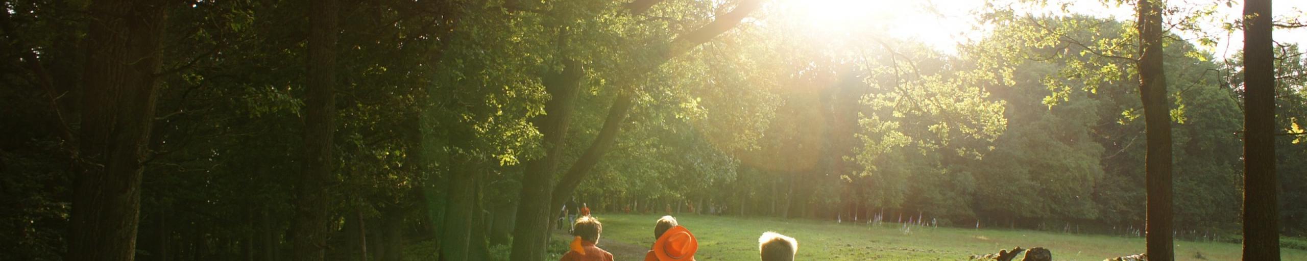 afbeelding kinderen rennen in bos